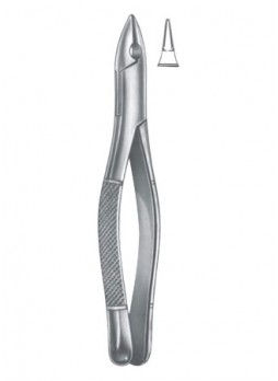Extracting Forceps